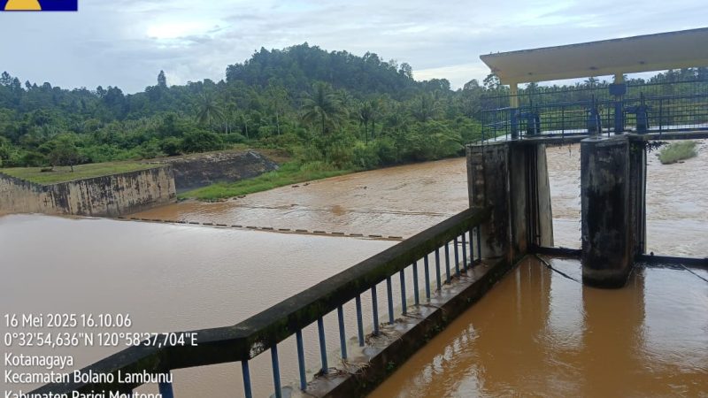 Air Keruh, Padi Kerdil: Ketika Tambang Menyerobot Hak Petani di Lambunu