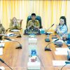 Anwar Hafid Paparkan Potensi Unggulan Sulteng di Hadapan Investor Tiongkok