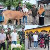 Koperasi Buranga Bersama Kodim 1306/Palu dan Korem 132/Tadulako, Serahkan Hewan Kurban untuk Warga Sekitar
