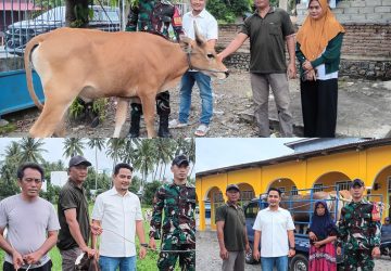 Koperasi Buranga Bersama Kodim 1306/Palu dan Korem 132/Tadulako, Serahkan Hewan Kurban untuk Warga Sekitar