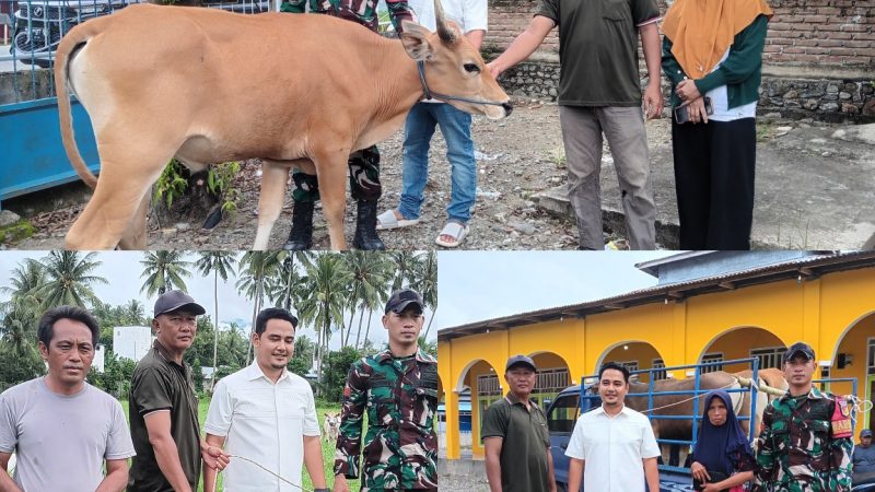 Koperasi Buranga Bersama Kodim 1306/Palu dan Korem 132/Tadulako, Serahkan Hewan Kurban untuk Warga Sekitar
