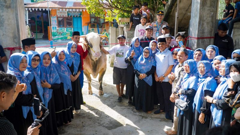 Gubernur Anwar Hafid Serahkan Sapi Kurban Presiden di Talise