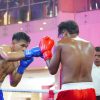 Berani Boxing Vol. II, Langkah Besar Tinju Sulawesi Tengah