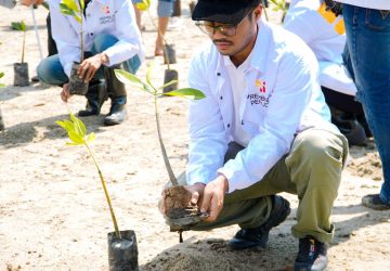 Rembuk Pemuda Sulteng Tanam 70 Ribu Mangrove: Dari Sedekah Alam hingga Visi Wisata Dunia
