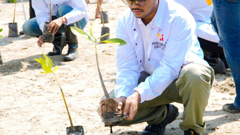 Rembuk Pemuda Sulteng Tanam 70 Ribu Mangrove: Dari Sedekah Alam hingga Visi Wisata Dunia