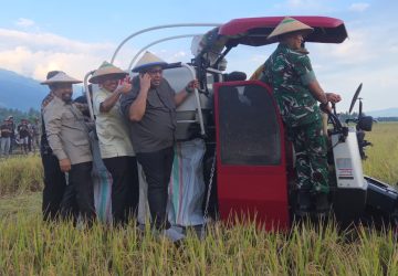 Panen Raya di Sigi, DPRD Sulteng Janji Kawal Bantuan Hingga ke Petani