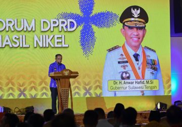 Daerah Penghasil Nikel Sepakat Perjuangkan Skema DBH Baru
