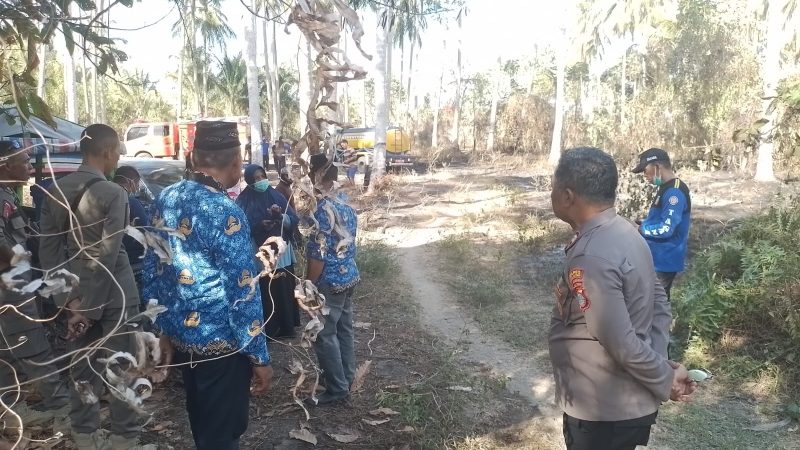 Dilalap Api, Lima Hektare Kebun Warga Desa Towera Hangus
