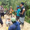 Petani Meninggal Tertimpa Pohon di Tolai Barat