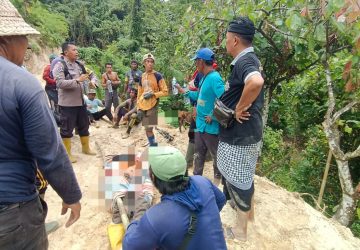 Petani Meninggal Tertimpa Pohon di Tolai Barat