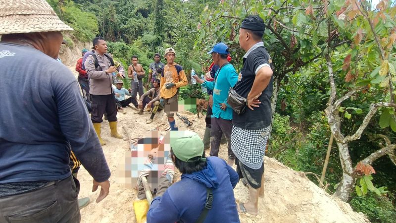 Petani Meninggal Tertimpa Pohon di Tolai Barat