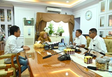Wagub Sulteng Terima Audiensi INKINDO Bahas Kolaborasi Pembangunan