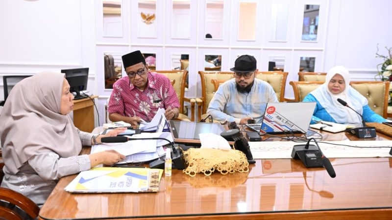 Wagub Sulteng Minta Daerah Jangan Tunda Pengisian MCSP