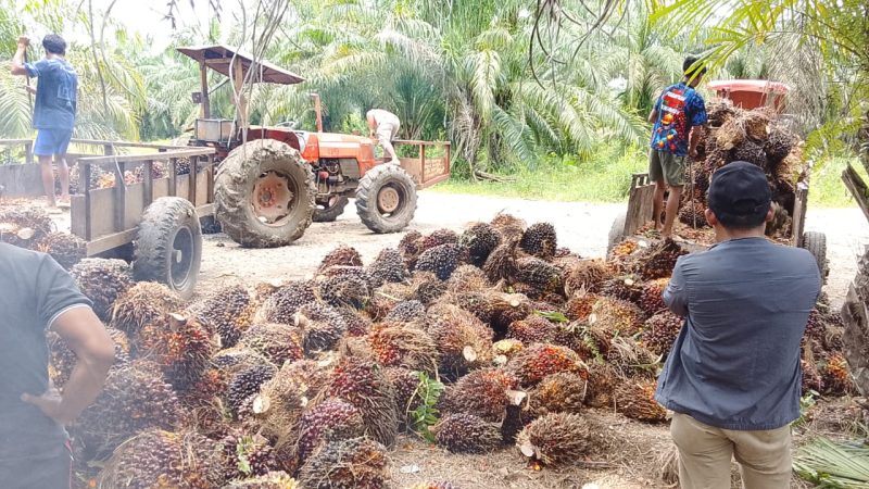 PT Kurnia Luwuk Sejati Klarifikasi Isu Keterlibatan Aparat di Lokasi Operasional