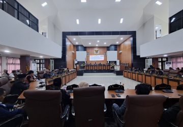 Haekal Ishak dan Ratna Mayasari Agan Pimpin Pansus Tambang Palu