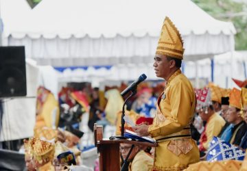 HUT Sulteng ke-62, Anwar Hafid Serukan Persatuan Bangun Daerah