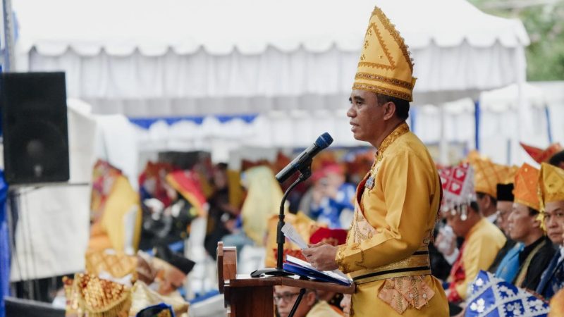 HUT Sulteng ke-62, Anwar Hafid Serukan Persatuan Bangun Daerah