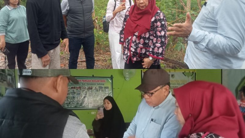 Wagub Reny Sebut KPN Talaga Punya Potensi Besar, Tim Percepatan Segera Dibentuk