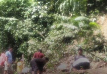Banjir dan Longsor di Kulawi, 50 Hektare Sawah Terendam