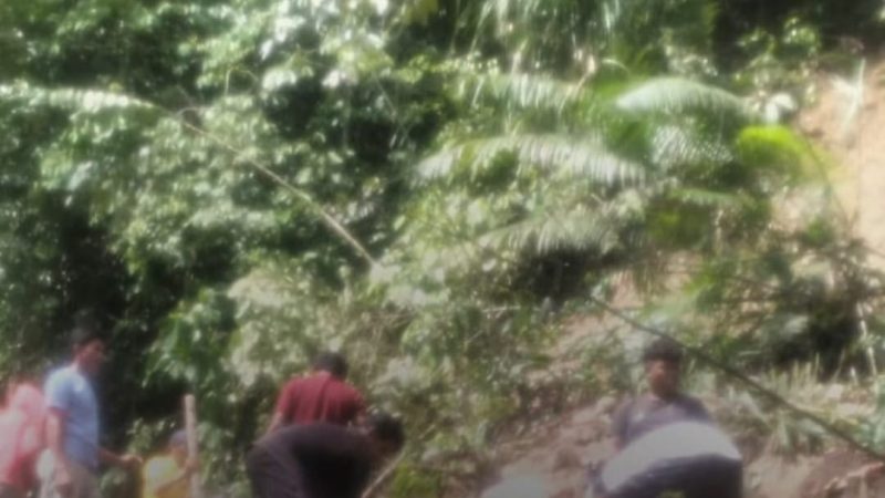 Banjir dan Longsor di Kulawi, 50 Hektare Sawah Terendam