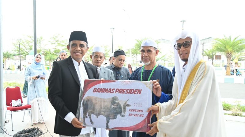 Gubernur Anwar Hafid Serahkan 127 Hewan Kurban, Sapi “Kentung” Curi Perhatian Warga