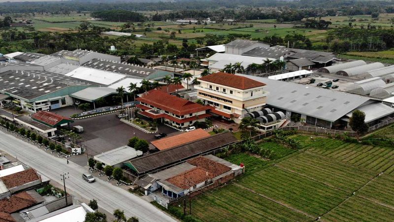 BISI Bagikan Dividen Tunai Rp78 Miliar, Cair Juni 2026