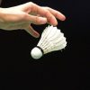 Indonesia Open 2026: Enam Wakil Indonesia Masih Berjuang, Satu Tiket Sudah Digenggam