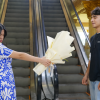 Asmara Gen Z Episode 577: Perpisahan yang Dewasa, Harry dan Aqeela Sama-Sama Menahan Luka