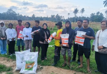 Selpina Basrin Salurkan Bibit Jagung untuk Petani Lobu Mandiri