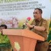 Program Berani Panen Raya Bidik Produksi Padi Sulteng 6 Ton per Hektare pada 2027