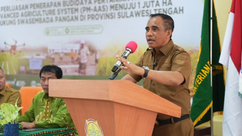 Program Berani Panen Raya Bidik Produksi Padi Sulteng 6 Ton per Hektare pada 2027