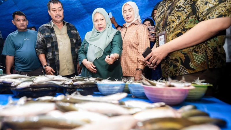 Wagub Reny Cek Pasokan dan Harga di Tolitoli