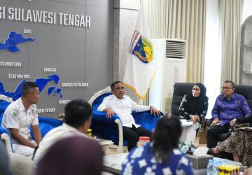 Gubernur Sulteng Perjuangkan Kepastian Status PPPK Tenaga Kesehatan