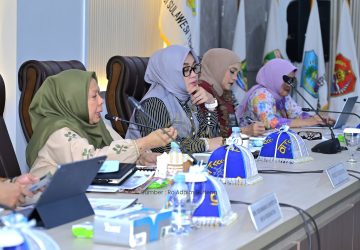 Sulteng Minta Dukungan Pusat untuk Perkuat Layanan Kesehatan