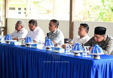 Gubernur Anwar Hafid Bentuk Satgas Terpadu untuk Optimalkan PAD dari Industri Morowali